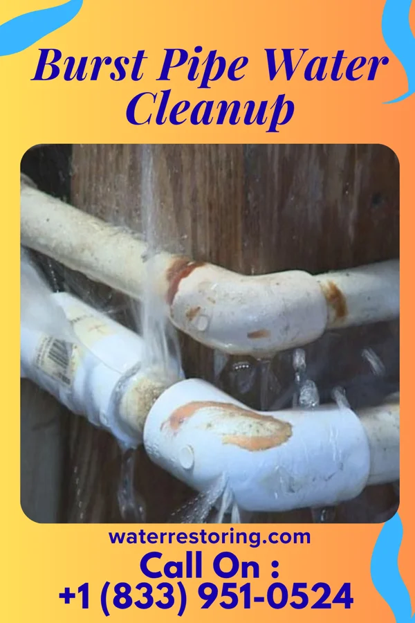 Burst Pipe Water Cleanup in Newcomerstown, OH