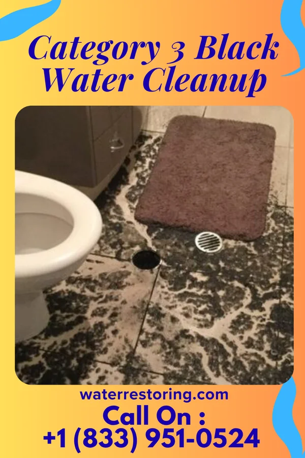 Category 3 Black Water Cleanup in Newcomerstown, OH